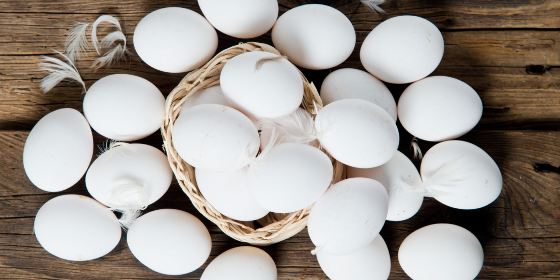 Chicken egg white (boiled)