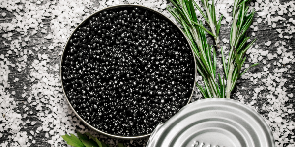 Sevruga caviar