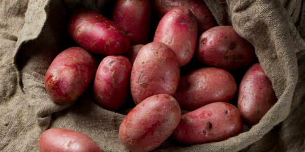 Червени картофи варени