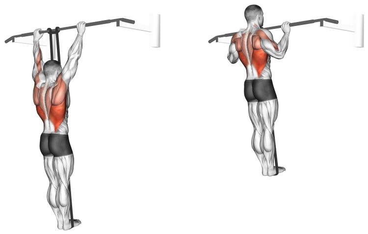 Band Assisted Pull-up