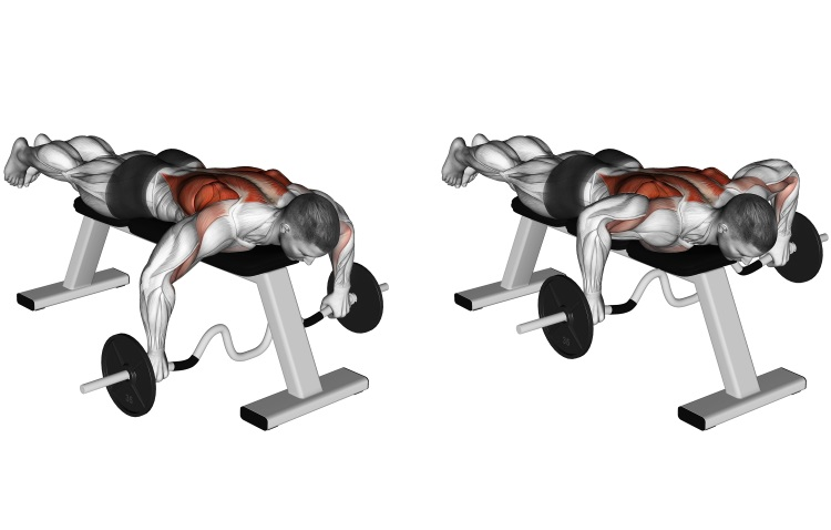 Упражнения для спины Seated Row
