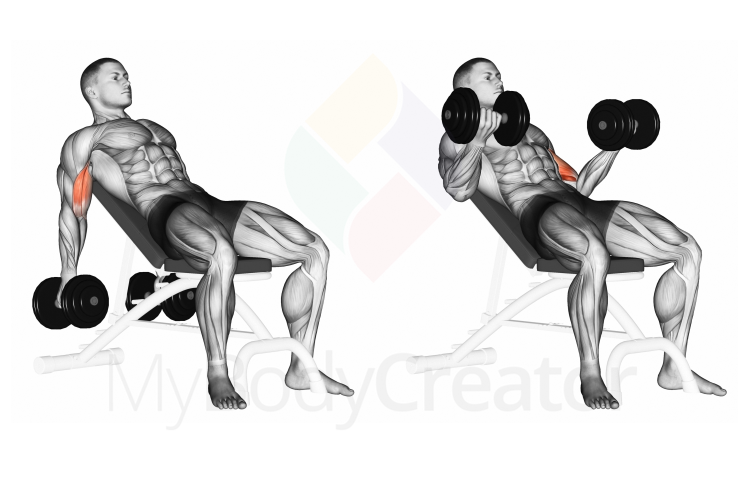 Dumbbell Incline Biceps Curl