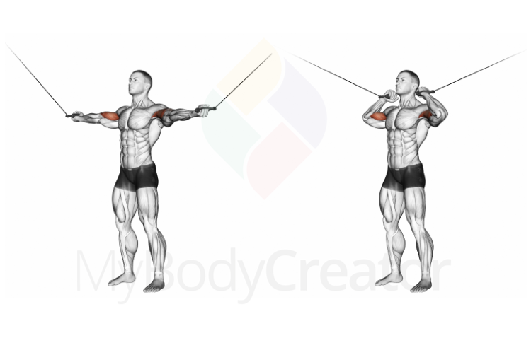 Cable Standing Inner Curl