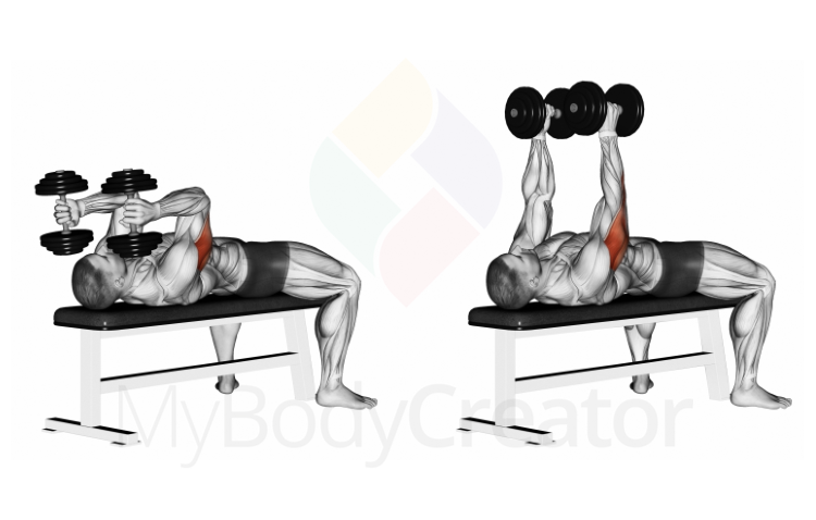 Dumbbell Lying Triceps Extension