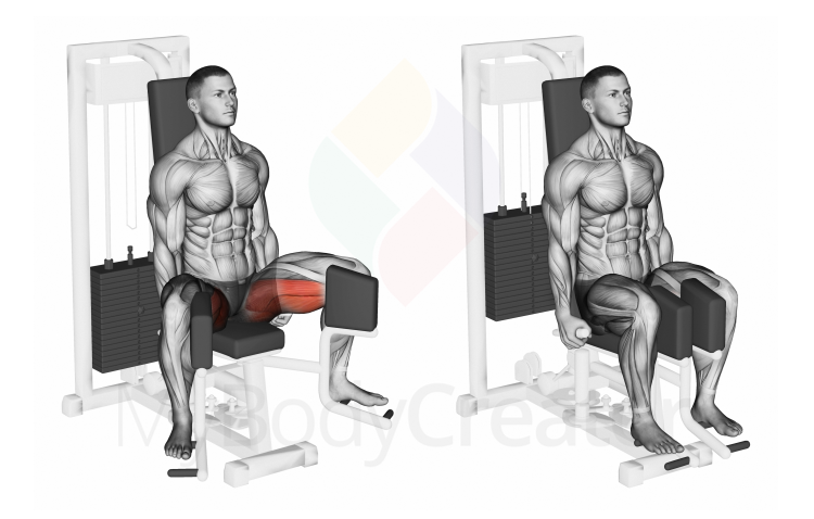 Lever Seated Hip Adduction