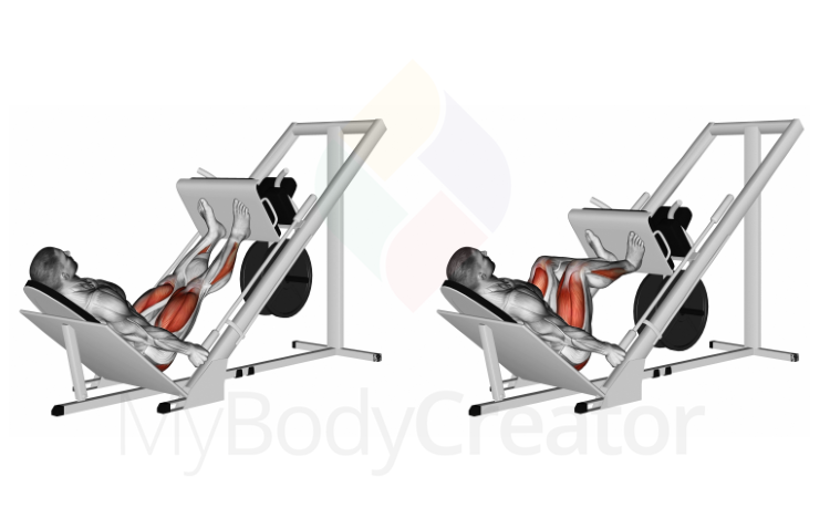 Close Feet Leg Press