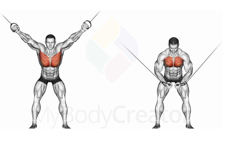 Cable Standing Fly, Crossover fly