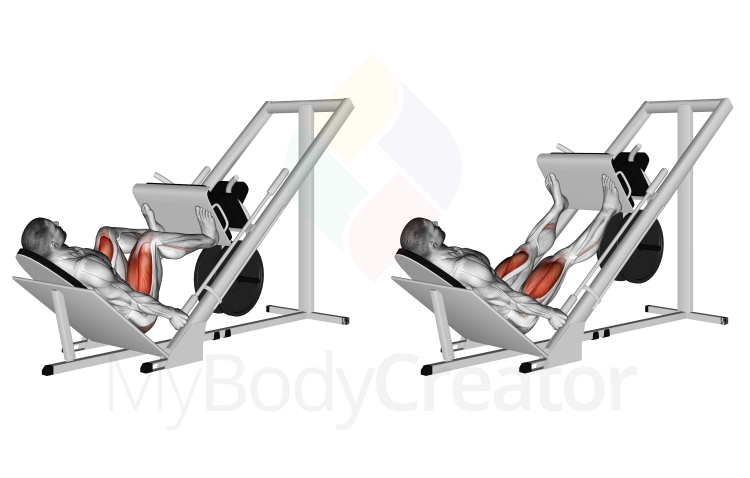 LEG PRESS HORIZONTAL G4 – Ergolife