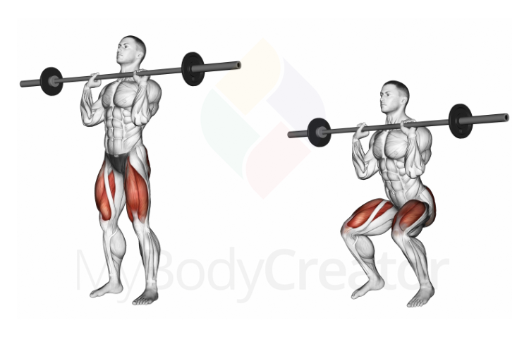 Barbell Front Chest Squat