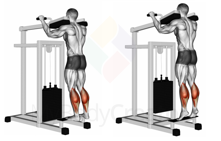 Lever Standing Calf Raise