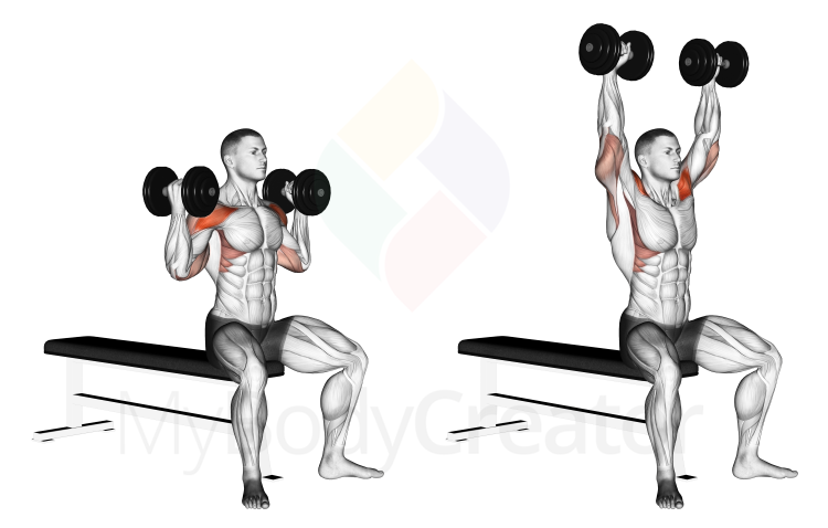 Dumbbell Arnold Press