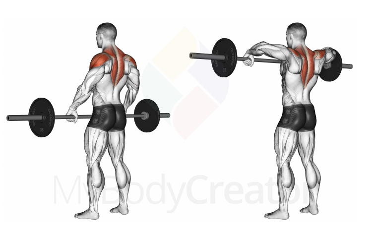 Barbell Upright Row (wide-grip)