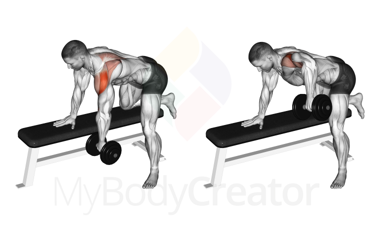 Dumbbell Rear Delt Row