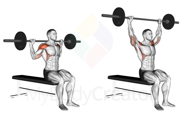 Barbell Seated Behind Head Military Press