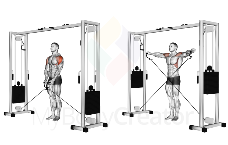 Cable Lateral Raise