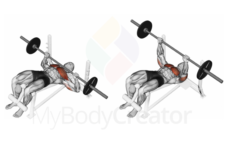 Barbell Decline Bench Press