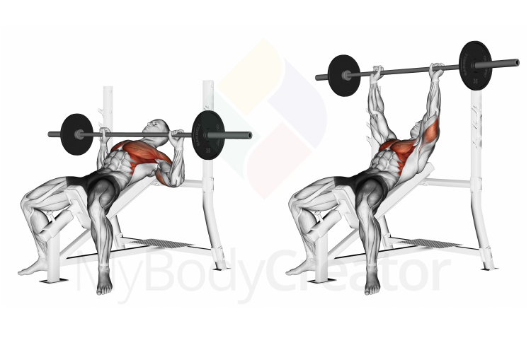 Barbell Incline Bench Press