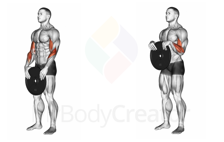 Weighted Standing Curl (weights or lever)