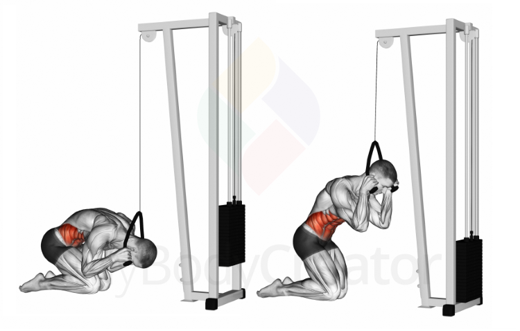 Cable Kneeling Crunch