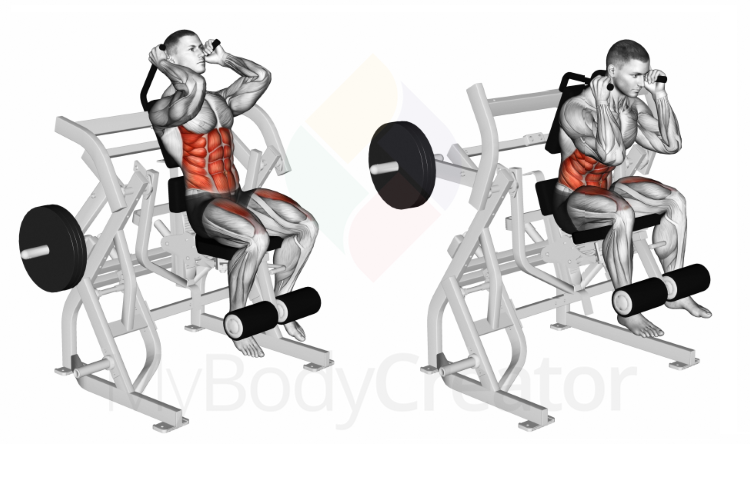 Lever Seated Leg Raise Crunch