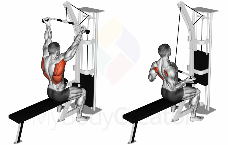 Cable Bar Lateral Pulldown (reverse-grip)