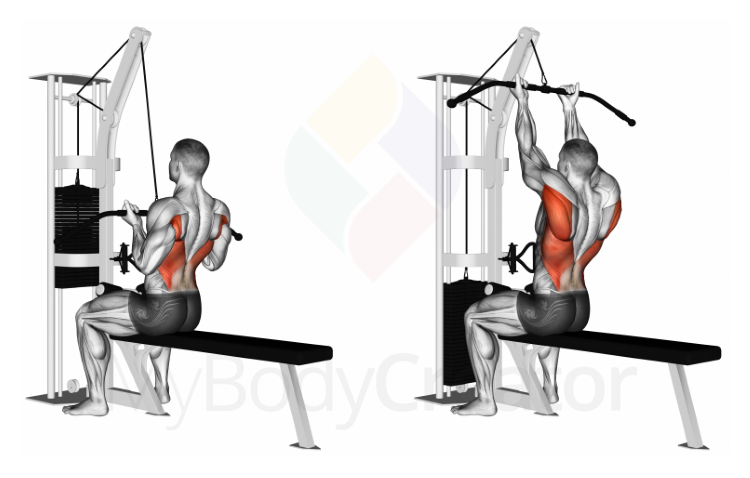 Cable Straight Back Seated High Row (reverse-grip)
