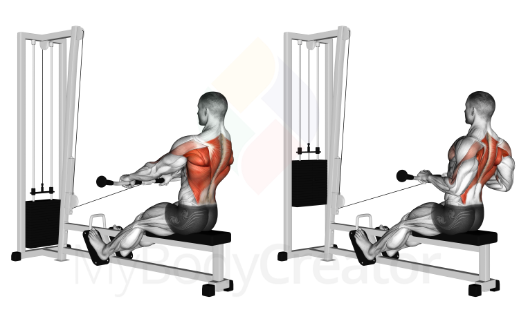 Cable Seated Row (normal grip)