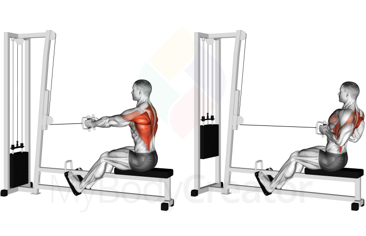 Cable Seated Row (parallel grip)