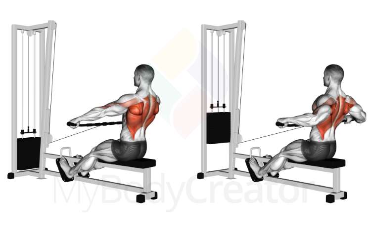 Cable Seated Row (wide-grip)