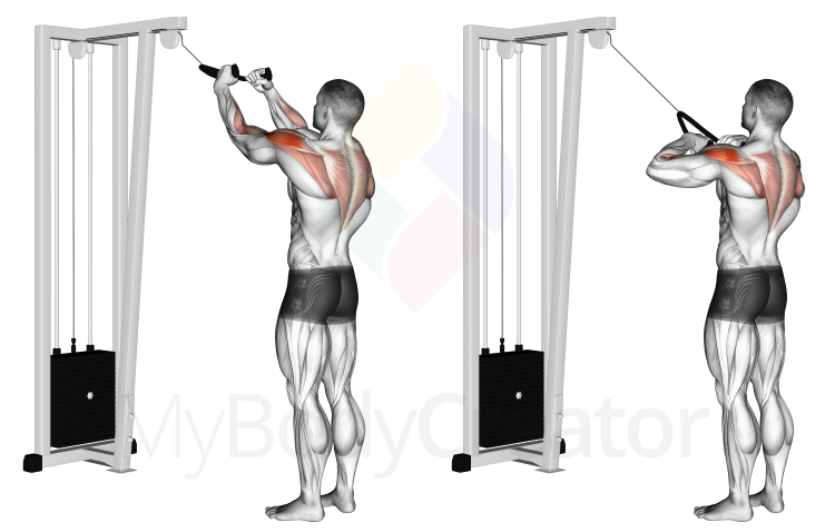 Cable Rear Delt Row (with rope)