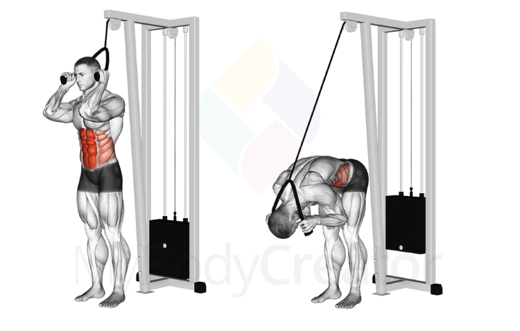 Cable Standing Crunch