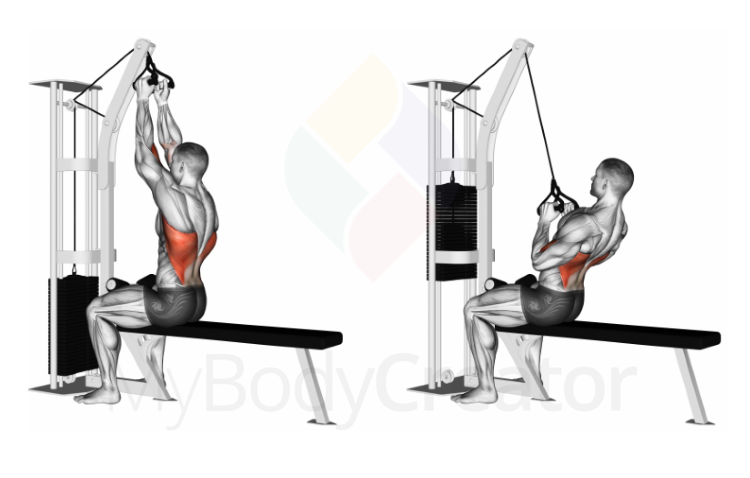 Cable Seated High Row (V-bar)