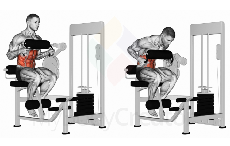 Lever Seated Crunch