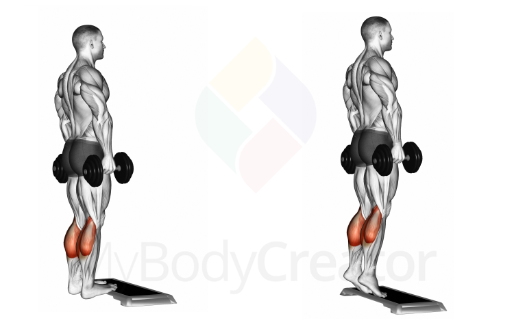 Dumbbell Standing Calf Raise