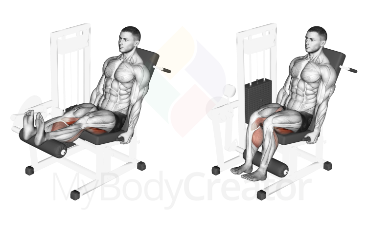 Lever Seated Leg Curl