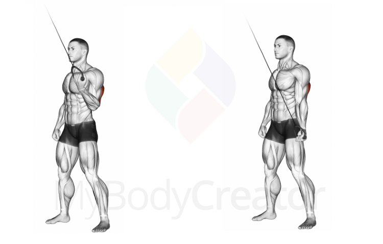 Cable Standing One Arm Triceps Extension