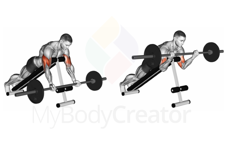 Barbell Prone Incline Curl