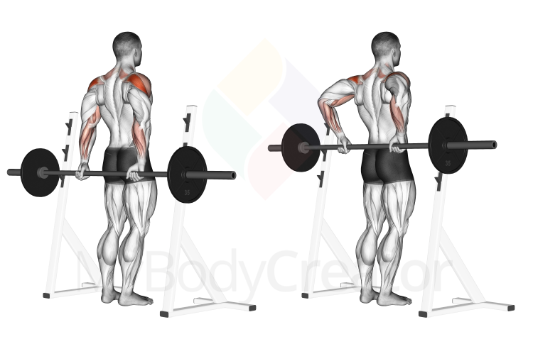 Barbell Rear Delt Raise