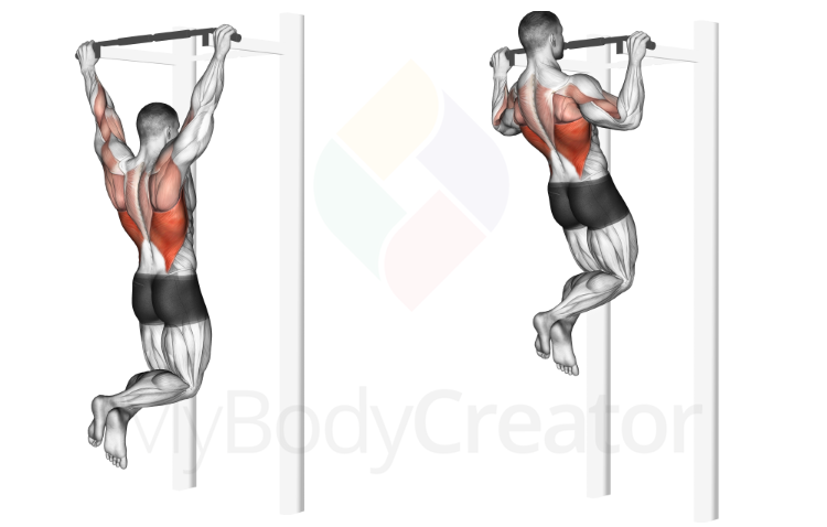 Pull-up (wide front grip)
