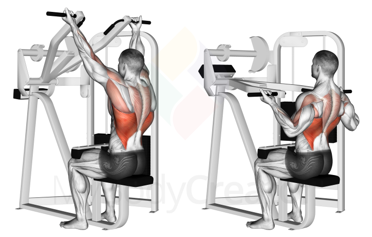 Reverse Grip Machine Lat Pulldown