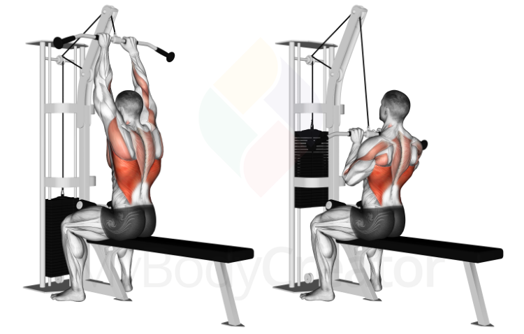 Cable Close Grip Front Lat Pulldown