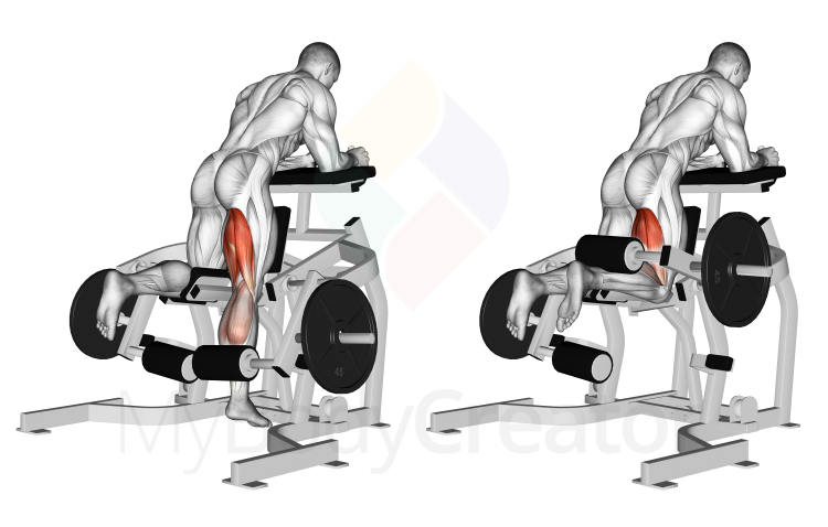 Lever Kneeling Leg Curl