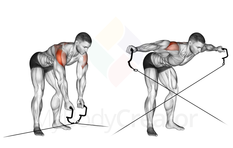 Cable Crossover Reverse Fly