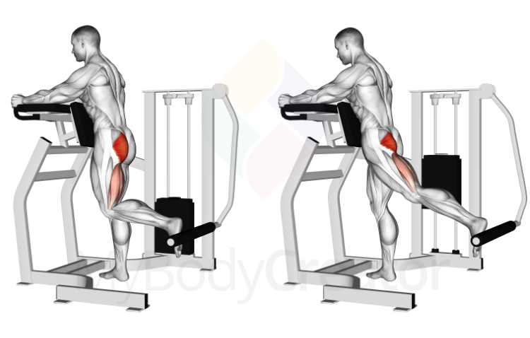 Lever Standing Hip Extension