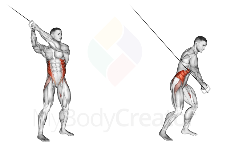 Cable Twist (up-down)