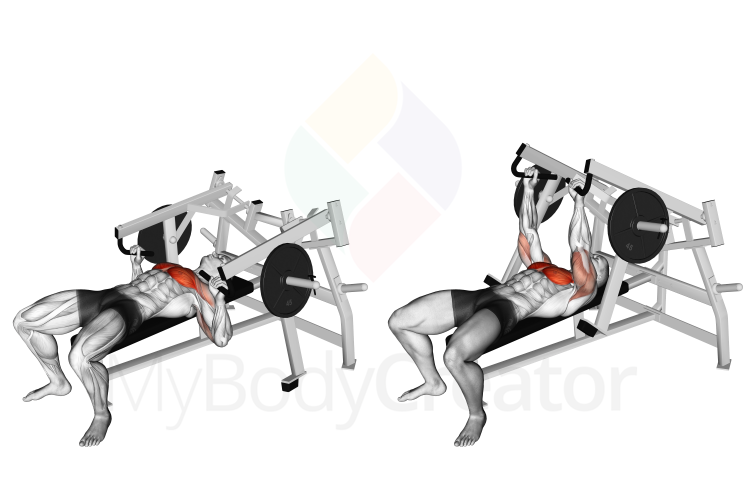 Lever Lying Chest Press