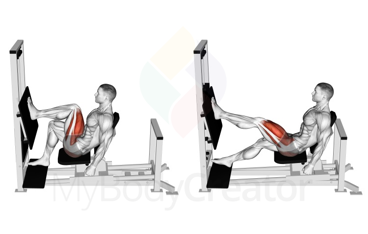 Lever Horizontal Leg Press