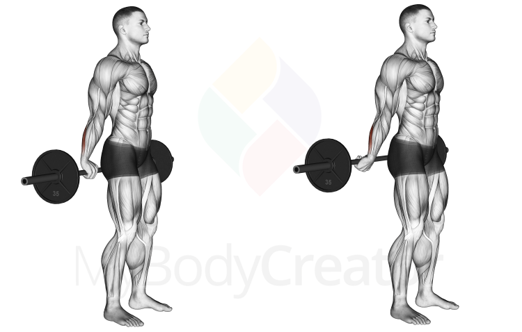 Barbell Standing Back Wrist Curl