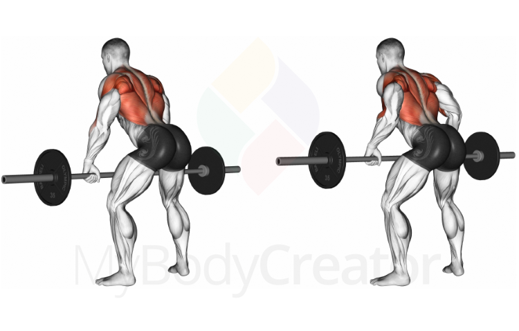 Barbell Bent-over Row (over-grip)