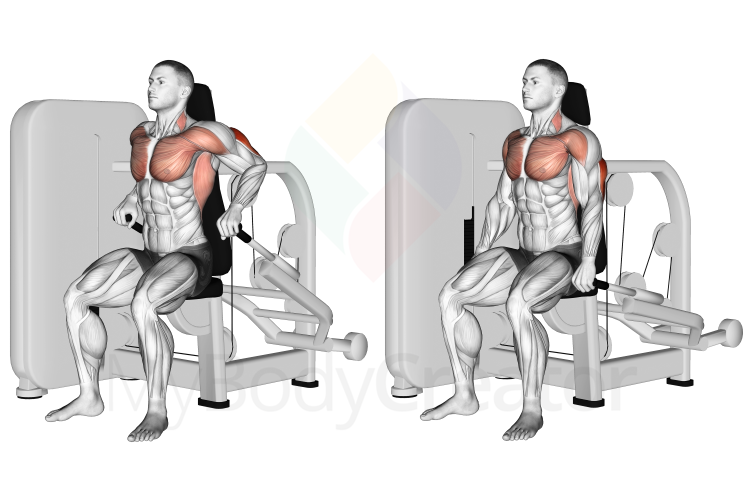 Lever Seated Dips